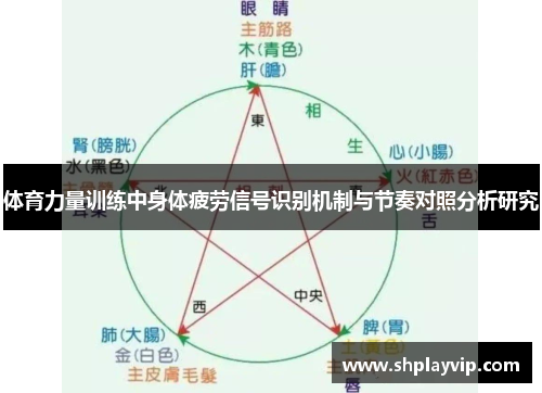 体育力量训练中身体疲劳信号识别机制与节奏对照分析研究